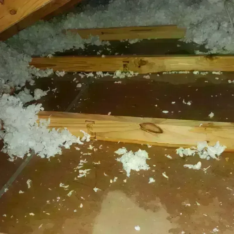 Attic Water Damage in Winchester, NH